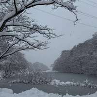 画像244