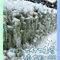 画像255