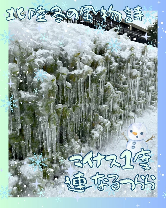 画像255