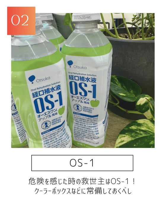 画像335