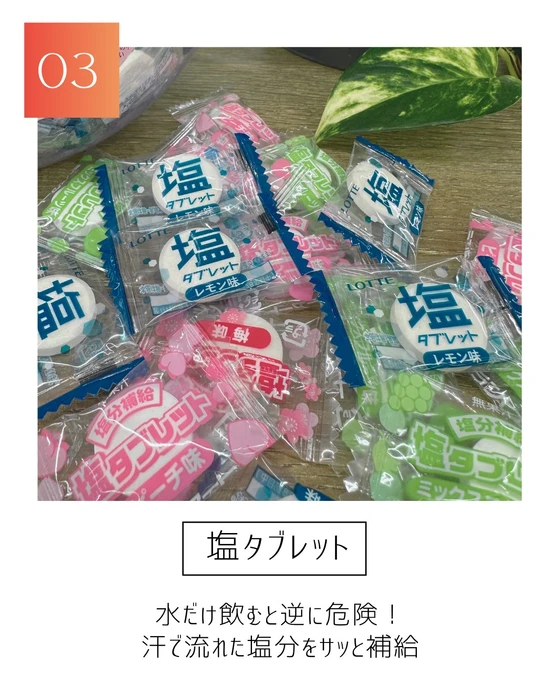 画像336